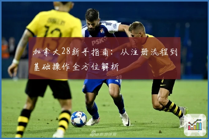 加拿大28新手指南：从注册流程到基础操作全方位解析