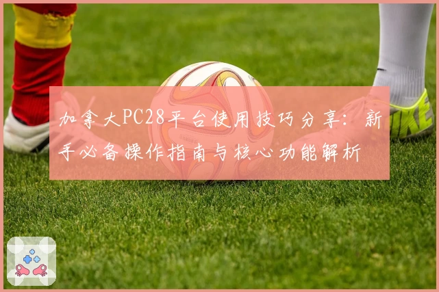 加拿大PC28平台使用技巧分享：新手必备操作指南与核心功能解析