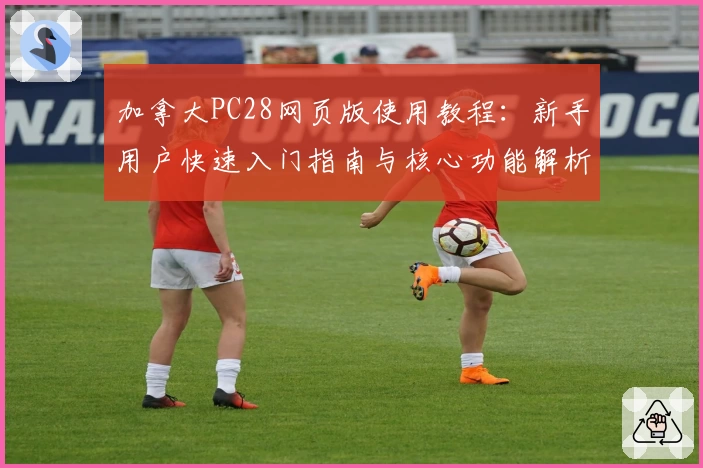 加拿大PC28网页版使用教程：新手用户快速入门指南与核心功能解析