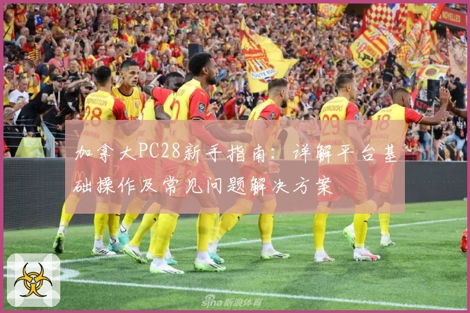 加拿大PC28新手指南：详解平台基础操作及常见问题解决方案