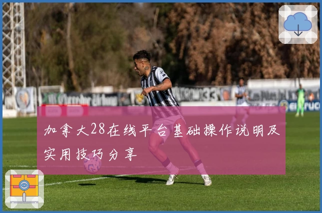 加拿大28在线平台基础操作说明及实用技巧分享