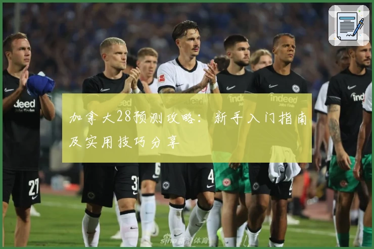 加拿大28预测攻略：新手入门指南及实用技巧分享