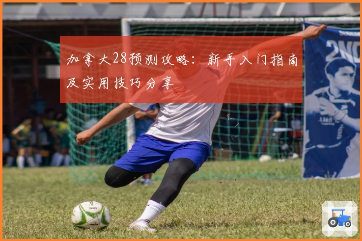 加拿大28预测攻略：新手入门指南及实用技巧分享