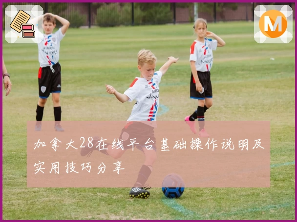 加拿大28在线平台基础操作说明及实用技巧分享