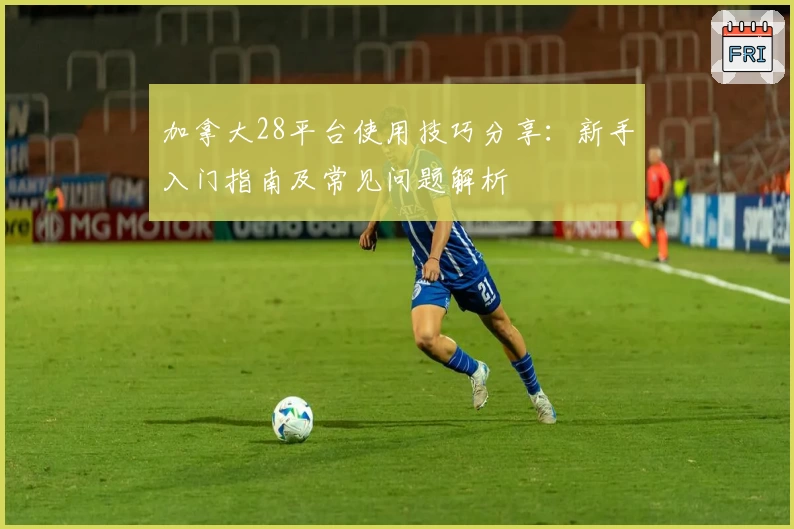 加拿大28平台使用技巧分享：新手入门指南及常见问题解析