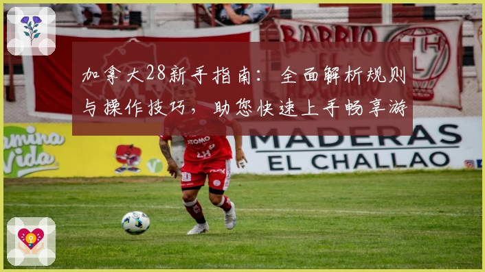 加拿大28新手指南：全面解析规则与操作技巧，助您快速上手畅享游戏体验